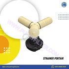 Strainer Pentair (Lateral 4872) Upper 1