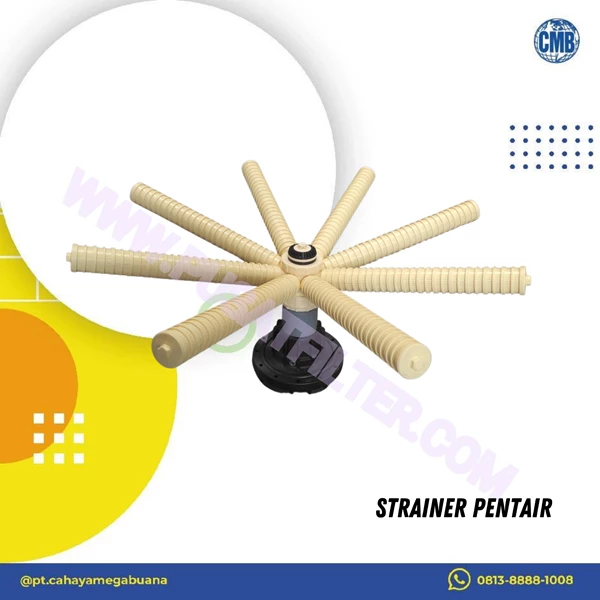 Strainer Pentair (Lateral 4872) Bottom