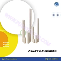 Pentair P-Series Spun Bonded Polypropylene Cartridge P5 - 40-155422-43