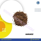 Manganese Water Purifier / Manganese 1