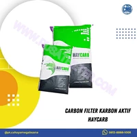 Carbon Filter Karbon Aktif HayCarb