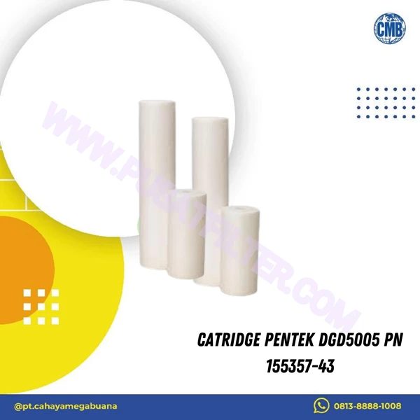 Catridge Pentek DGD5005 PN 155357-43