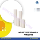 Catridge Pentek DGD5005-20 PN 155358-43 1
