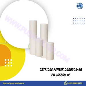 Catridge Pentek DGD5005-20 PN 155358-43