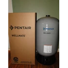 Pressure Tank Wellmate Pentair With Different Type 4