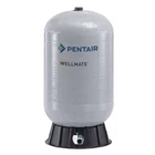 Pressure Tank Wellmate Pentair With Different Type 2